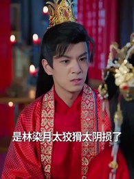 第8集 - 神醫毒妃