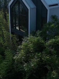 第65集 - 聖手醫聖