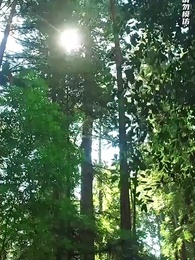 第59集 - 九龍奪嫡：為何要逼我做皇帝