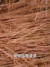 第11集 - 將軍，今天後悔了嗎