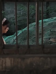 第78集 - 重生之龍騰四海