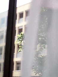 第11集 - 偷得青春一抹甜