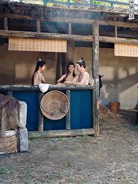 第31集 - 九龍奪嫡:為何要逼我做皇帝