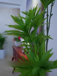 [Dubbed] Starry Night Romance - Episode 27