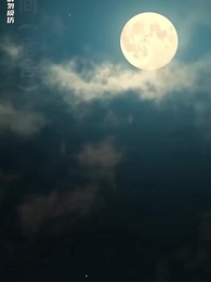 第12集 - 孤註一擲之無路可逃