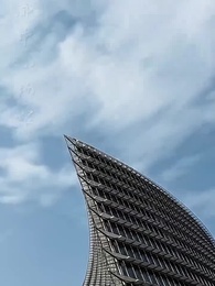 第27集 - 誰摘了傅總的薔薇