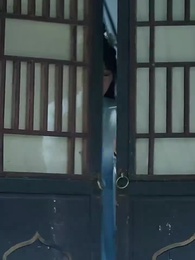 第87集 - 神醫毒妃