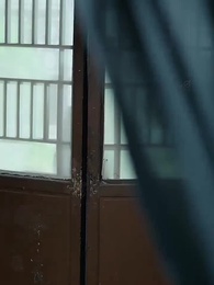 第83集 - 神醫毒妃