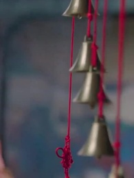 第52集 - 錢金金的馭夫之路