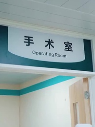 顧總的圈養嬌妻 - Episode 66