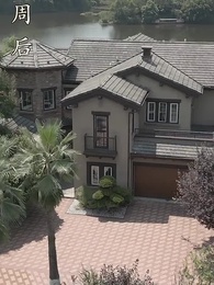 第71集 - 離婚後，沈總滿世界追妻