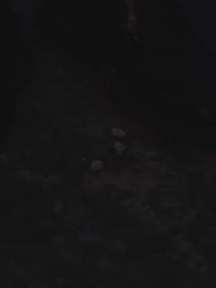 第63集 - 嬌妻歸來第二季