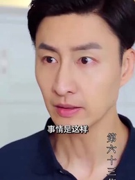 第63集 - 至尊透視神婿