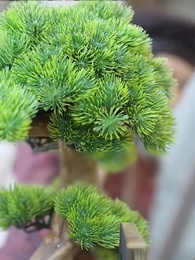 九州戰神 - Episode 86