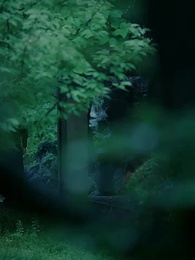 真假皇帝 - Episode 36