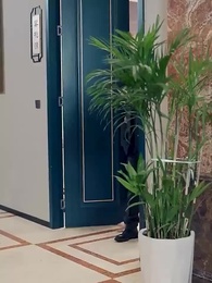 Episode 96 - [Dubbed] Reversal Begins with Marrying a Beauty