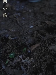 第86集 - 離婚後，沈總滿世界追妻