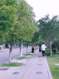 Episode 66 - [Dubbed] Rebel Hearts