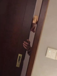 第81集 - 神級龍衛