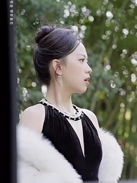 第13集 - 鎮國神婿