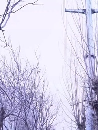 第31集 - 我的隱形富豪老公