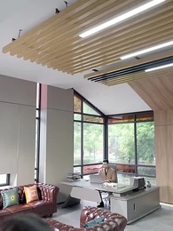 第29集 - 護國天醫