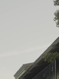 Episode 40 - Stealing My Icey Alpha