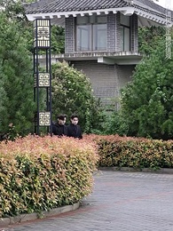 女總裁的頂流小嬌夫 - Episode 91