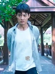 第9集 - 女總裁的貼身醫仙