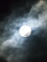 第79集 - 鎮世狂少