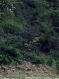 穿越之大小姐的極品家丁 - Episode 31