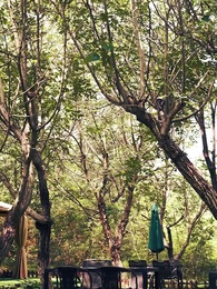 Episode 53 - Mommy, we need daddy