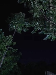 掘金人生 - Episode 24