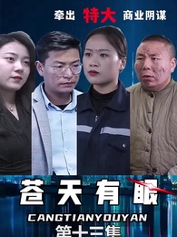 第13集 - 蒼天有眼