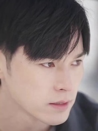 第35集 - 時總的替身前妻