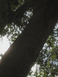 Episode 58 - Stealing My Icey Alpha