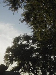 Stealing My Icey Alpha - Episode 8