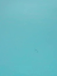 嬌妻歸來 - Episode 39