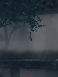 第37集 - 磕的CP殺瘋了