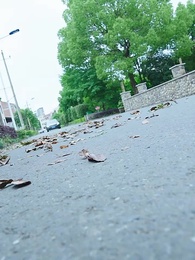 霍總追妻路漫漫 - Episode 12