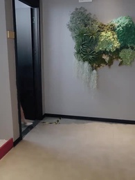 磕的CP殺瘋了 - Episode 78