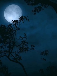 護國天醫 - Episode 1