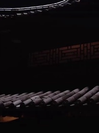 神醫毒妃不好惹 - Episode 11