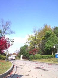 我的白富美老婆 - Episode 70