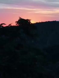 功夫醫聖 - Episode 2