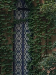 Episode 14 - Mommy, we need daddy