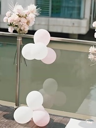 第99集 - 誰摘了傅總的薔薇