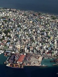 第86集 - 無上統帥