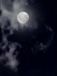 第63集 - 權寵悍妻