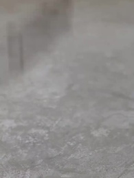 第11集 - 葉少的假面毒妻